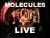 The Molecules Live at the Crypt